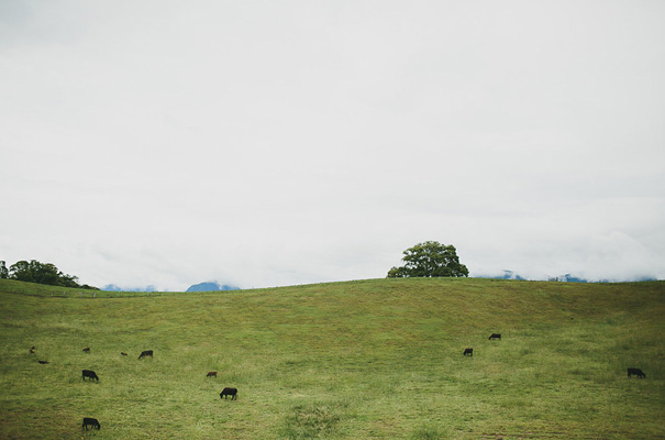 attunga-park-wedding-reception-vintage-bridal-gown-rain-wedding-day12