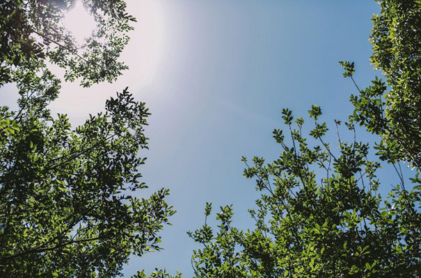 centennial-park-bright-colourful-wedding-lara-hotz-sydney-photographer6