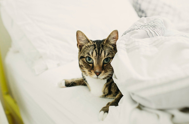 industrial-sydney-wedding-lover-the-label-bride