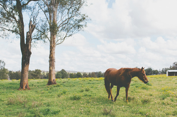 purple-hair-bride-wedding-inspiration-barn-country2
