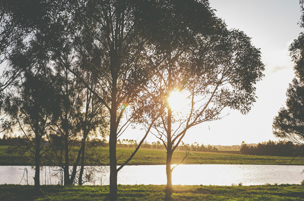 purple-hair-bride-wedding-inspiration-barn-country27