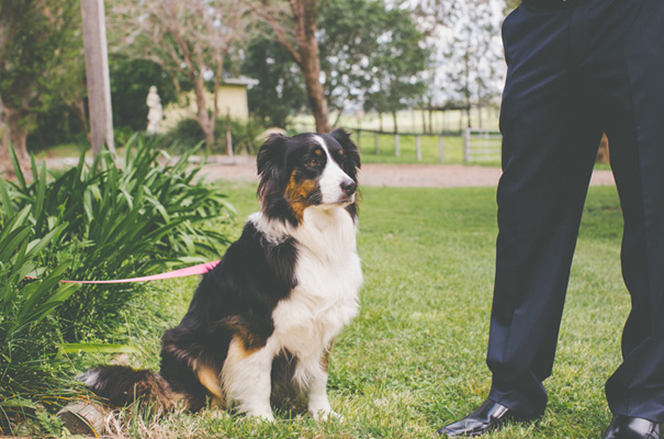 purple-hair-bride-wedding-inspiration-barn-country4
