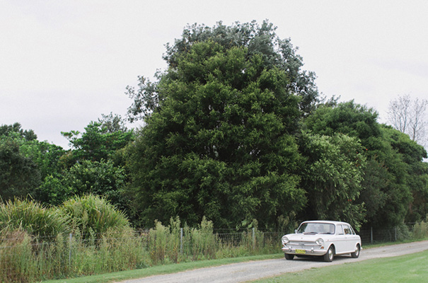 rue-de-seine-bridal-gown-wedding-dress11
