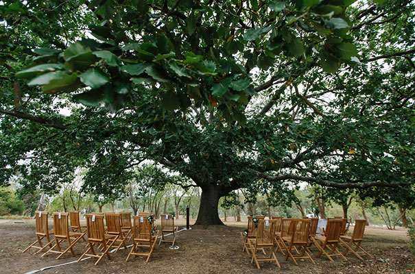 suzanne-harward-bridal-gown-melbourne-wedding-photographer13