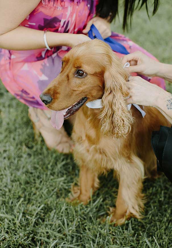 NSW-byron-bay-wedding-one-day-bridal-gown45