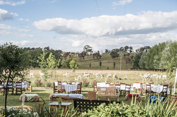 armidale-wedding-zimmerman-bridal-gown-dress25