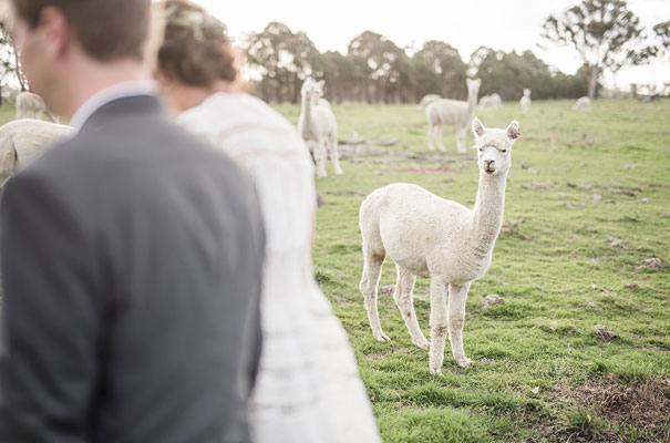 armidale-wedding-zimmerman-bridal-gown-dress33