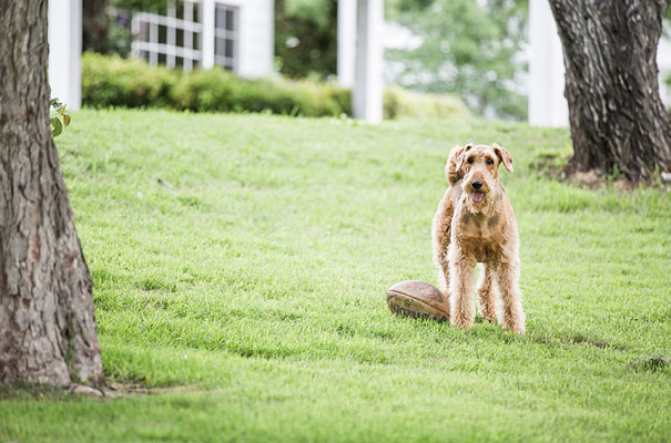 armidale-wedding-zimmerman-bridal-gown-dress8