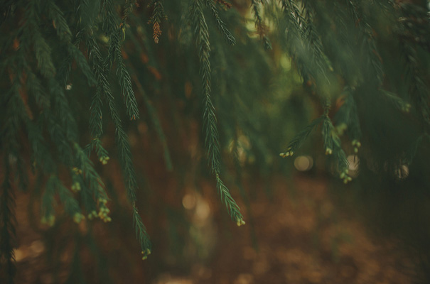 danelle-bohane-new-zealandb-bride-wedding