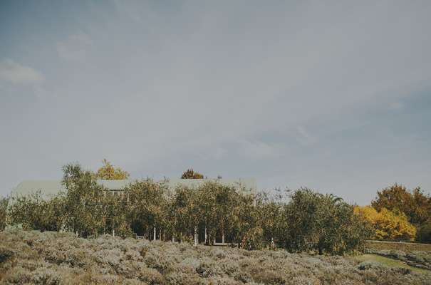 danelle-bohane-new-zealandb-bride-wedding10