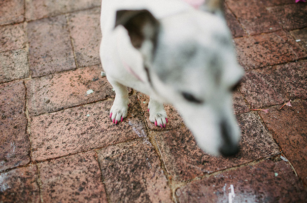 elegant-perth-wedding-photographer3