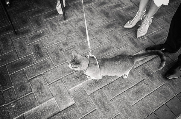 elegant-perth-wedding-photographer36