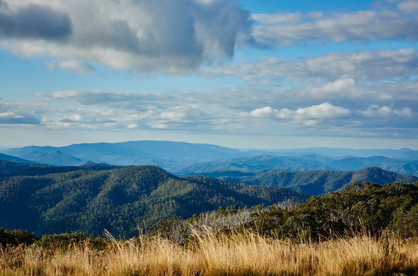 grace-loves-lace-untamed-romance-collection-bridal-gown-wedding-dress10