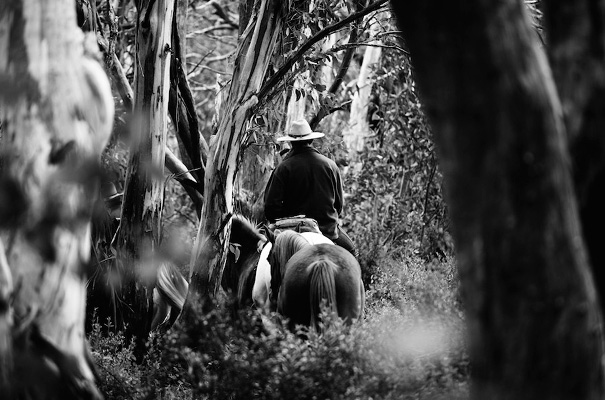 grace-loves-lace-untamed-romance-collection-bridal-gown-wedding-dress17