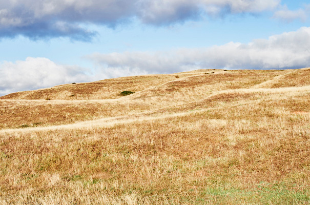 grace-loves-lace-untamed-romance-collection-bridal-gown-wedding-dress30