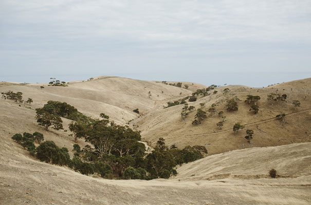 south-australian-wedding-photographer-giant-jenga