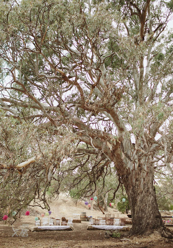 south-australian-wedding-photographer-scanlan-theodore-bride