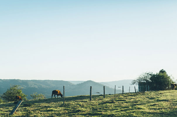 stories-by-ash-queensland-wedding-gold-wreath-bride37