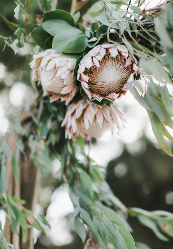 NZ-yeah-weddings-collective-Perth-wedding-photographer9