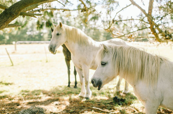 barn-country-farm-wedding-rue-de-seine-bridal-gown21
