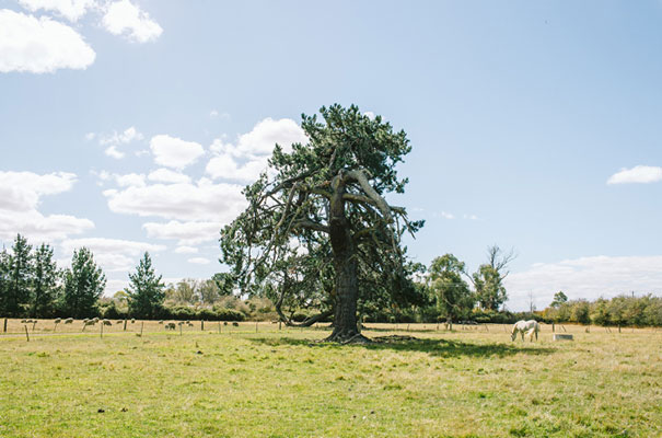 barn-country-farm-wedding-rue-de-seine-bridal-gown9