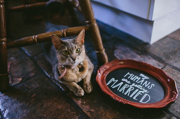 bright-wedding-bridal-flowers-colourful-ribbons-diy-short-wedding-dress