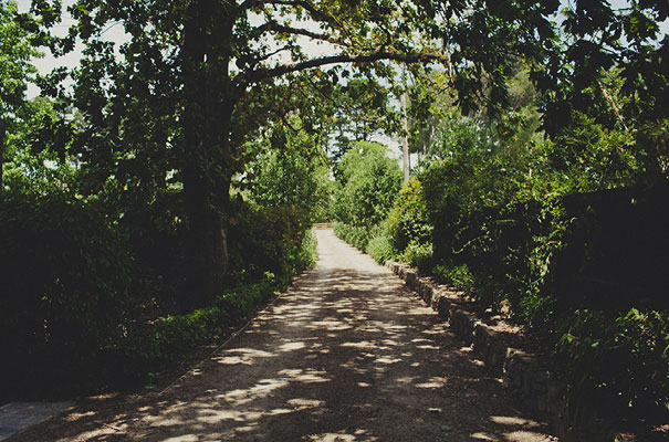 bush-tip-teepee-victorian-wedding-photographer-dan-oday