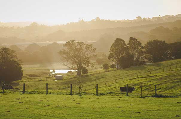 byron-bay-wedding-grace-loves-lace-bridal-gown46