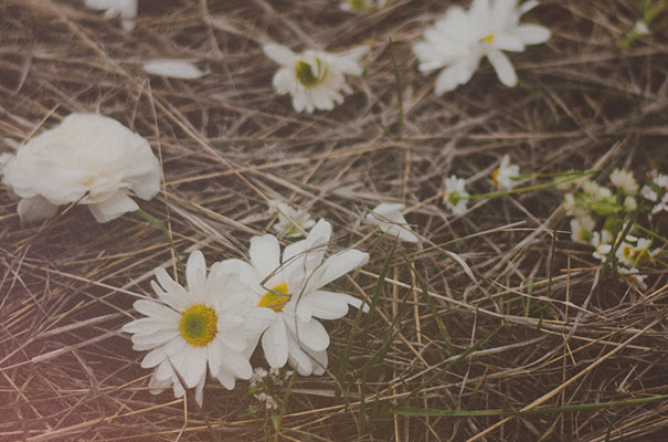 daisies-blonde-jumpsuit-lace-bride11