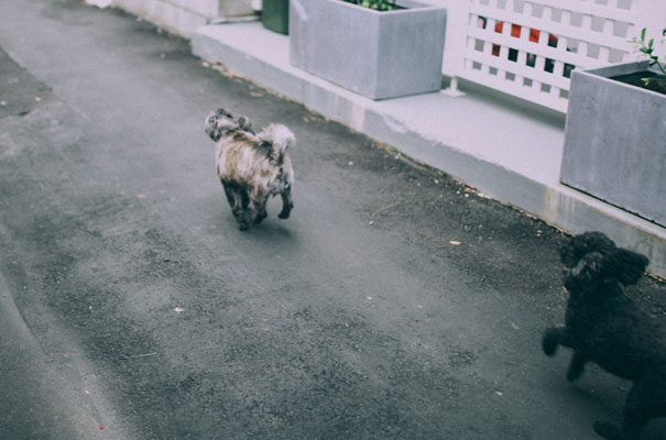 jessica-tremp-lover-the-label-surrey-hills-wedding46