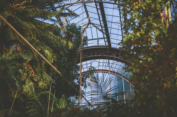 rue-de-seine-new-zealand-wedding-photographer-the-glasshouse-aukland26