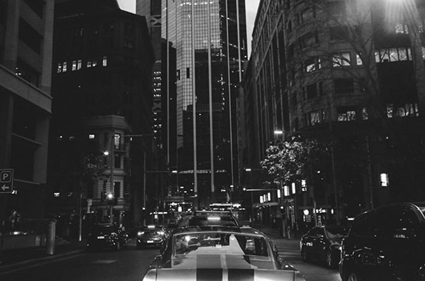 sydney-wedding-pink-roses-lara-hotz-photography20