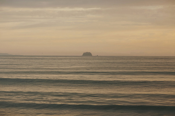 rue-de-seine-danelle-bohane-new-zealand-backyard-wedding-inspiration-daisies50