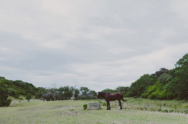 cool-hippie-boho-fun-bright-melbourne-victorian-wedding-photographer