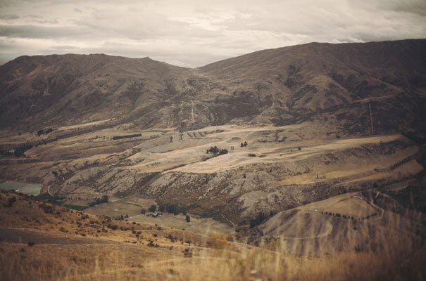 dark-romantic-purple-gold-forest-wedding-inspiration610
