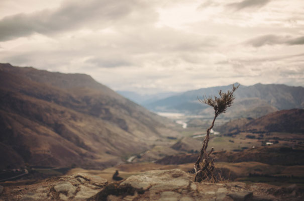 dark-romantic-purple-gold-forest-wedding-inspiration67