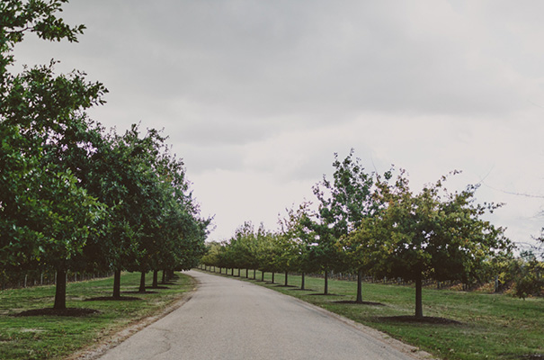 elegant-melbourne-wedding-photographer-beck-rocchi12