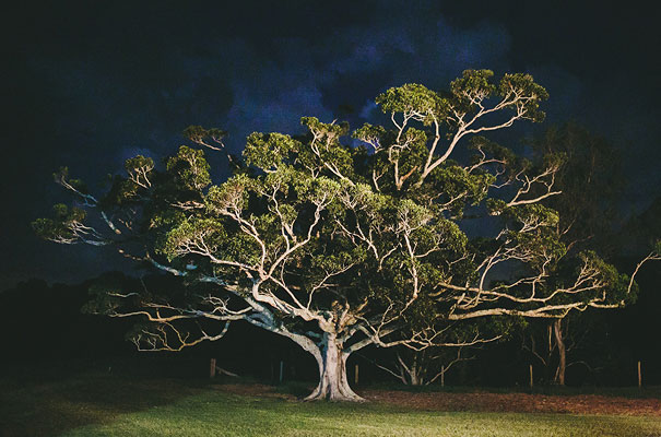 queensland-grace-loves-lace-pineapple-farm-wedding50
