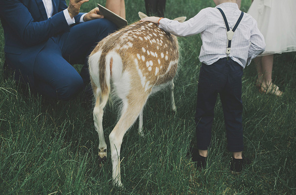 rue-de-seine-bridal-gown-real-wedding-deer-farm-rural-victoria-wedding-photographer14