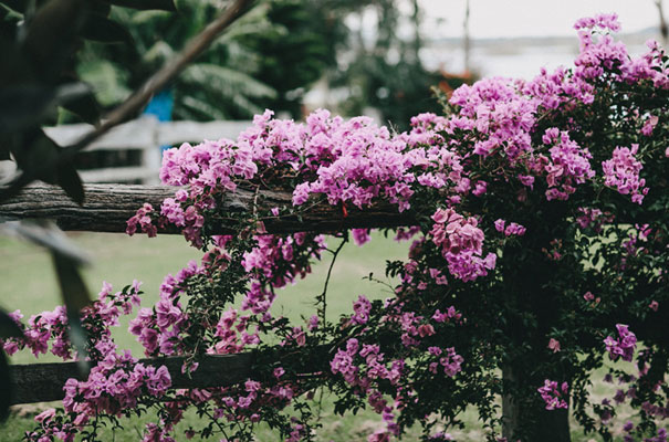 rue-de-seine-luke-going-barn-country-wedding22