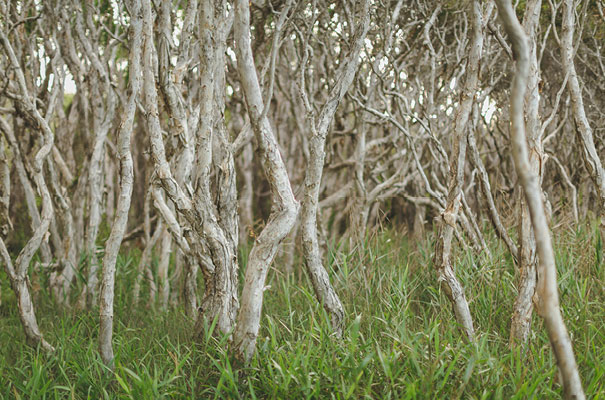 stradbroke-island-teeki-style-beach-coastal-barefoot-bride-wedding17