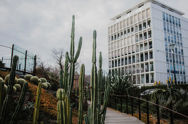 succulent-garden-i-got-you-babe-melbourne-wedding-photographer38