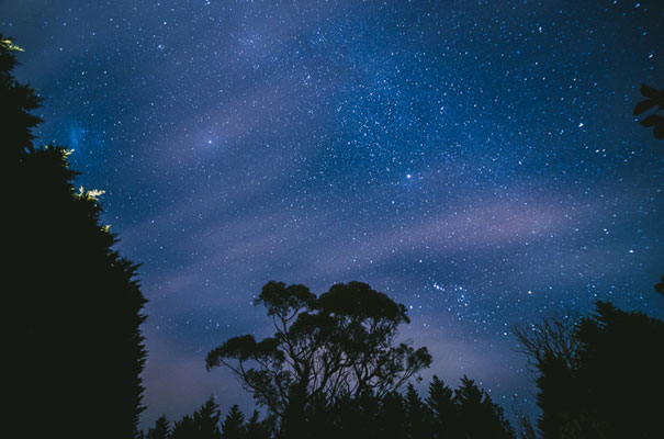country-wedding-backyard-farm-scott-surplice31