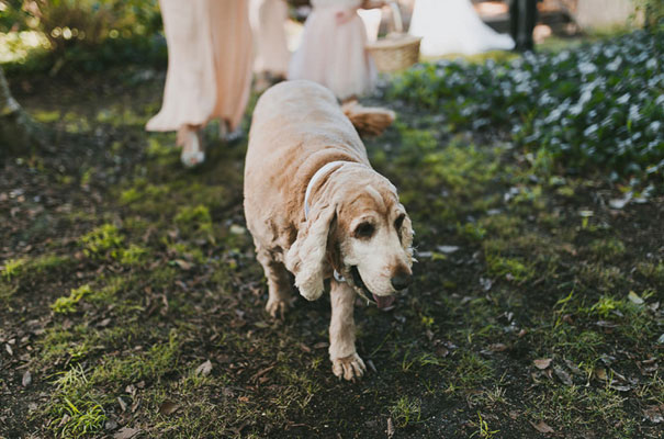 country-wedding-backyard-farm-scott-surplice7