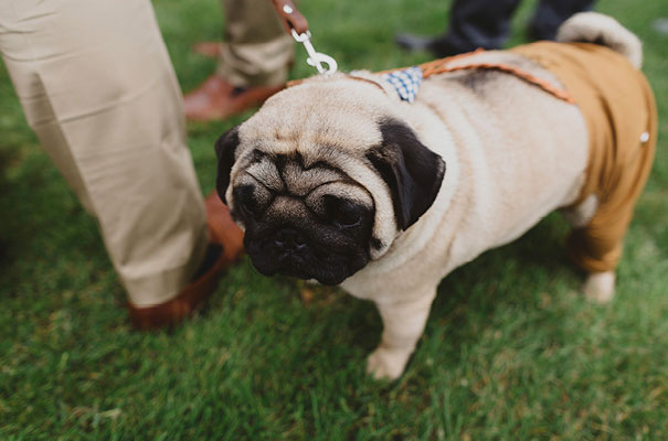 eric-ronald-industrial-tasmania-wedding19
