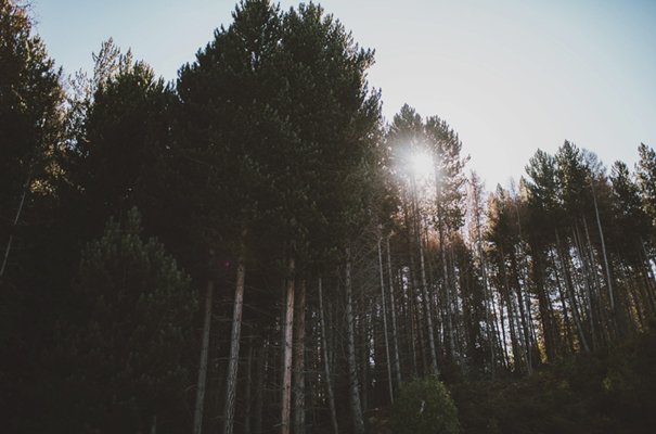 jane-hill-bridal-gown-cool-new-zealand-wedding-phtographer5