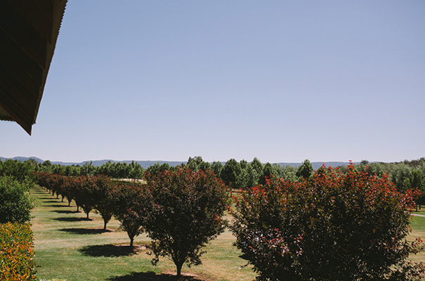 lara-hotz-jewish-wedding-sydney-polo-club24