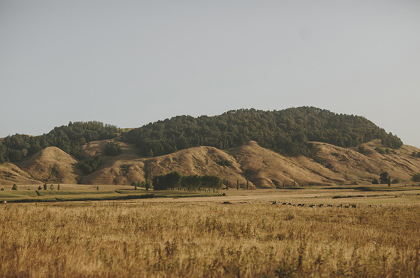 new-zealand-backyard-farm-diy-bbq-wedding-sally-eagle-bridal-gown-danelle-bohane