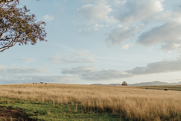 olivia_sav_wedding-316