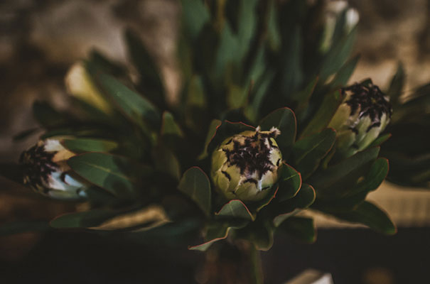 polkadot-bride-wedding-dress-dark-romantic-wedding-venue-table-styling25